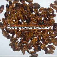 Fish Food Dried Silkworm Pupa