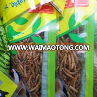 insect protein of dried mealworm