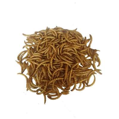 Koi Food Fish Feed Dried Mealworm Aquatic Feed Additive