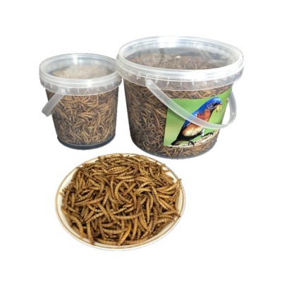 High protein dried mealworm insect for parrot bird food