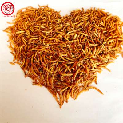 High Protein Dried Mealworms pet food fish food ANIMAL FEED bulk mealworm