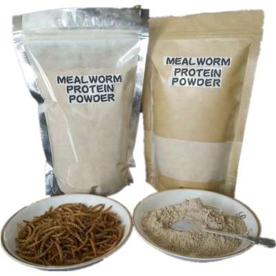 aquarium fish food of Defatted Mealworm Powder