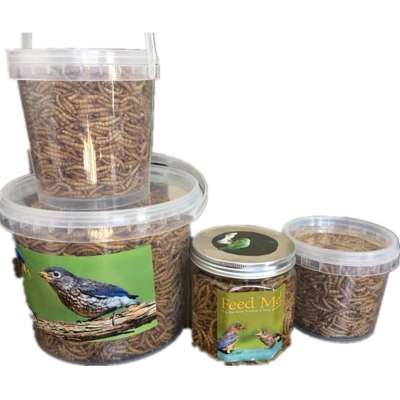 pet food organic Dried Mealworms for Birds