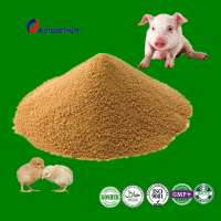 high protein yeast powder for dog cat bird food