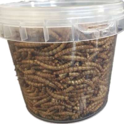 pet dogs application and stocked feature foods dried yellow meal worm