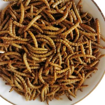 Bulk packing and 5% Max moisture dried mealworm for animal feed pet food