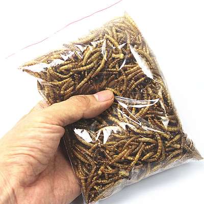 High Protein Dried Mealworms for chicken,bird,reptile wholesaler worm dry