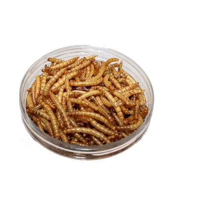 Dog Food Dried Mealworm Pet Food Animal Food