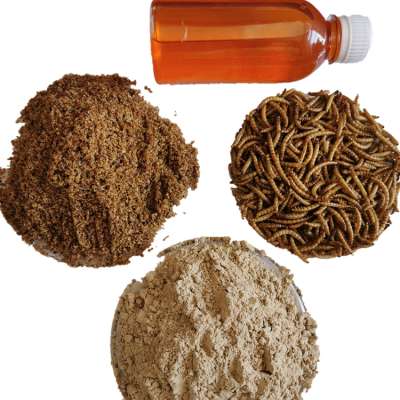 Insect powder Aquatic feed mealworms powder defatted dried mealworms powder