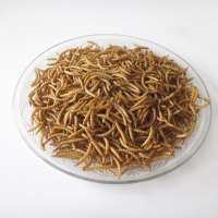 Bulk Dried Mealworm Yellow Powder Insect Carp Fish Baby Bird Reptile Parrot Pet Poultry Food 10KG