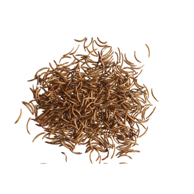 tilapia feed trout feed dried mealworms