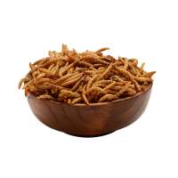 Dried Yellow meal worms birds food pets food dried mealworm