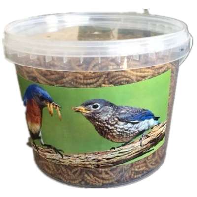 Dried Yellow Mealworms from birds food manufacturer