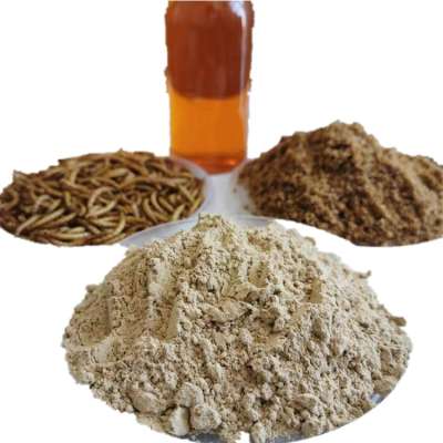 Animal feed tenebrio molitor powder stocked defatted mealworm powder