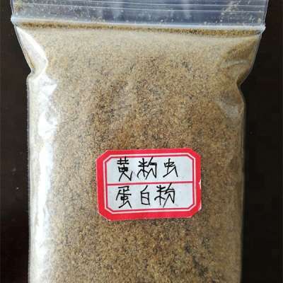 high proetin mealworms powder feed mealworms for animal feed chicken food and pet food